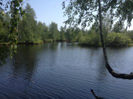 У меня все по проще было.