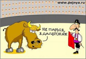 Борис – бык производитель