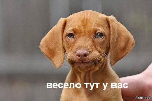 15 вещей, которые делают мужчины и которые страшно раздражают женщин