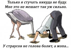 МУСОРОВОЗ - большая победа маленького человека!