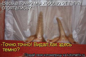 25 котов, которые думают, что они хорошо спрятались