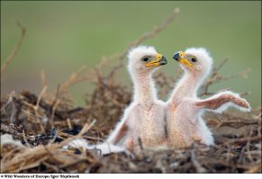 - Привет!
- Здарова!