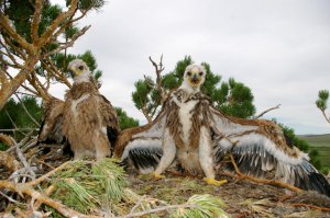 Иди сюда, дай обниму!