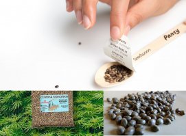 Это для огорода в Нидерландах: