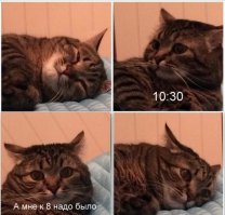 Эти чувства знакомы всем, кто когда-либо опаздывал