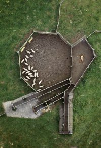 надо было ей вместе с овцами лечь.шалава