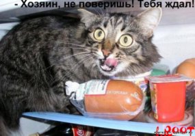 этот тоже наверное прятался