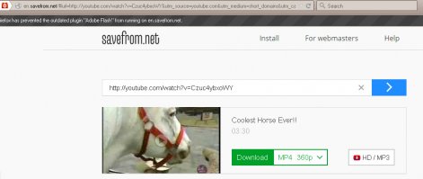 и через пару секунд получаете страничку, с которой можно скачать этот ролик и есть возможность выбрать формат этого ролика