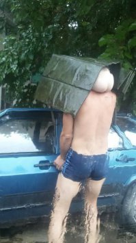Причём здесь показалось? Есть конечно и такие, но большинство просто забавные фото. Эти две (горилла и попаголов) убили вообще