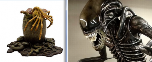 Самые невероятные гусеницы и то, что из них получается в результате