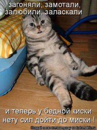Операция «Коттедж»
