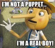 Фотоподборка за 20.08.2015