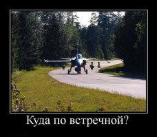 В прошлые выходные ездил на дачу. Рулю себе спокойненько, дорога пустая. Ни встречных, ни попутных...