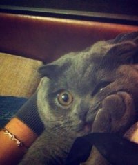 Необычные вещи из прошлого (19 век) Вы удивитесь!