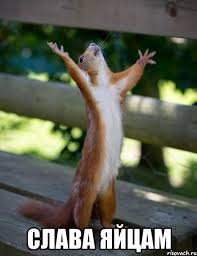 Оружие Кима. Основная боевая техника Северной Кореи