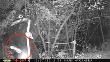 Жнец троль-извращенец дергает писюном на камеру???