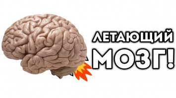 автор выглядит вот так?