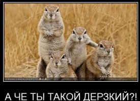 Фотоподборка за 24.08.2015