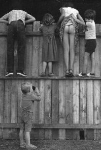 Найти правильного помощника