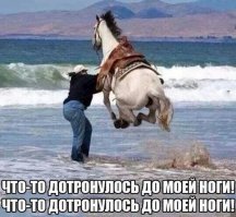 Когда что то коснулось под водой