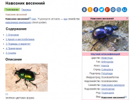 25 изумительных платьев, которые создавала сама природа