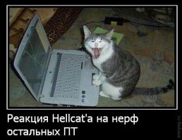 Офис компании Wargaming, который никто не видел
