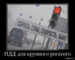 15 дорожных казусов
