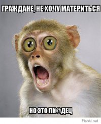 Гламурные бабушки снялись для календаря   