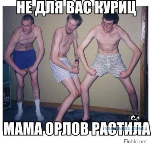  Чтобы забрать домой собаку, девушка пролетела 10 тысяч км