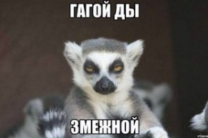 Шутер от первого лица в реальной жизни