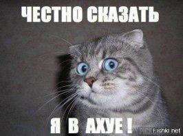 27 невероятных фактов о самом южном материке планеты