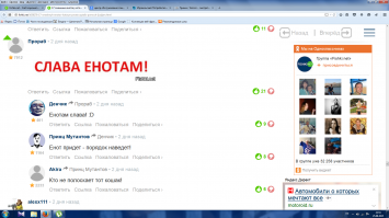 17 смешных енотов, которые просто пытались помочь людям