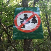 Одноногим в лес не ходить!