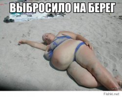 То, что устроил этот молодой кит своим спасителям, они не забудут до конца своей жизни! 