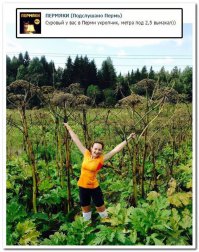 Коленки уже замотаны, видать, от прошлой встречи с "укропчиком".