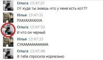 Смешные комментарии из социальных сетей