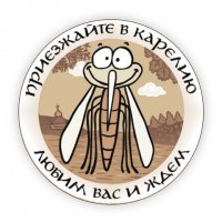 Парень недооценил комаров