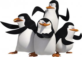 Они готовятся