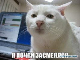 15 фото, глядя на которые, вы почувствуете себя неуютно