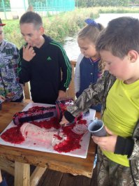 а в кирове детей расчлененкой кормят