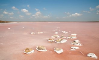 Кояшское озеро в Опукском заповеднике в Крыму. Солонее не бывает.