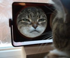 Жутковатые фотографии