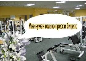 Одинокий подснежник снимает стресс в тренажерном зале