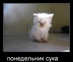 Подборка демотиваторов 