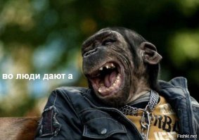 Безопасность превыше всего