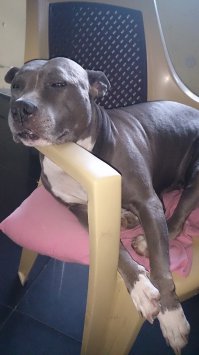 Звучит убедительно: 20 остроумных табличек