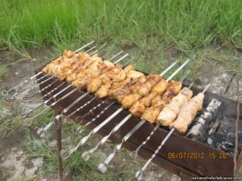 Ты ахнешь от удивления, но после фотосессии итальянский рыболов отпустил усатого монстра-гиганта...