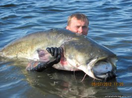 Ты ахнешь от удивления, но после фотосессии итальянский рыболов отпустил усатого монстра-гиганта...