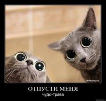 Казус в прямом эфире