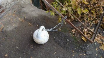 Надо было цепью к Гире пристегнуть.